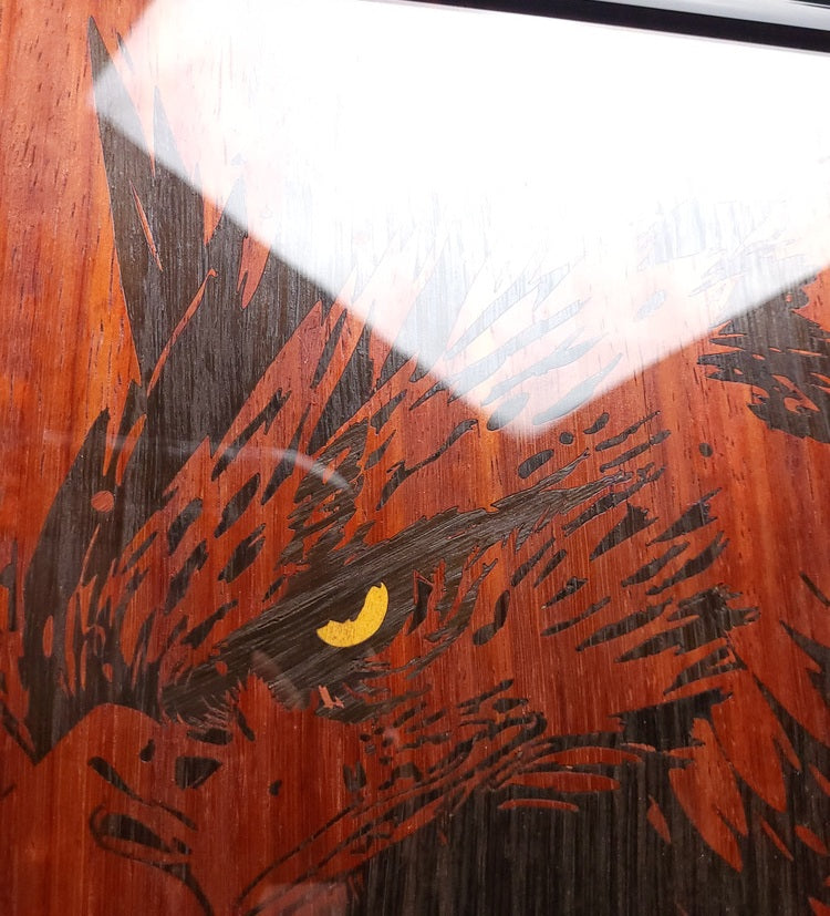 Le Regard du Roi